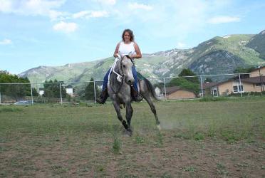 training, breaking, halter, saddle, foals, Arabians, Arabs, Quarter Horse, ground training, muscastar son, *Bask, Fadjur, *Muscat, *Naborr, Kaborr+++, Ferzon, Skowronek, Double Starz Ranch, Double Starz Arabians, Double Starz Training, *Serafix, Abu Farwa